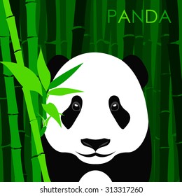 Panda with bamboo. Design template
