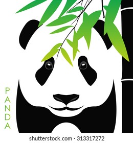 Panda with bamboo. Design template
