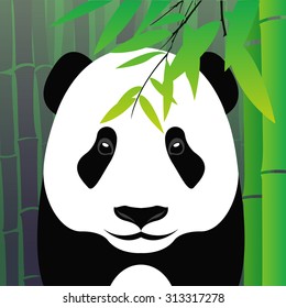 Panda with bamboo. Design template