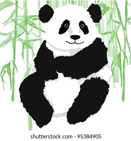 Panda with bamboo plants,on white background.