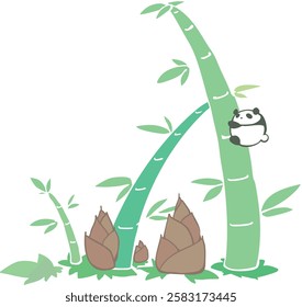 Panda Bamboo Shoot Bamboo Forest