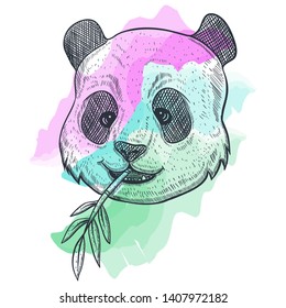 panda BAMBOO watercolor vector illustration