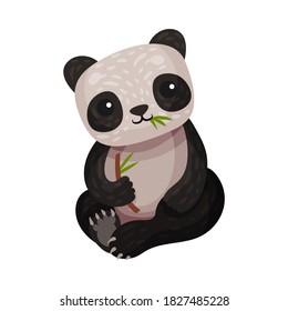 Panda Bear as African Animal with Black Patches Around Eyes Chewing Grass Vector Illustration