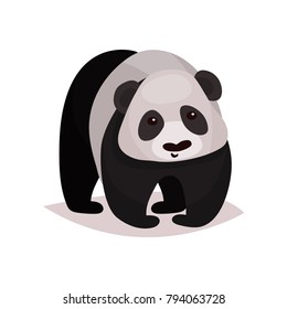 Panda bear animal cartoon vector Illustration