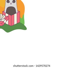 panda bear animal in gift box