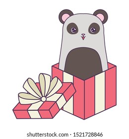 panda bear animal in gift box vector illustration design