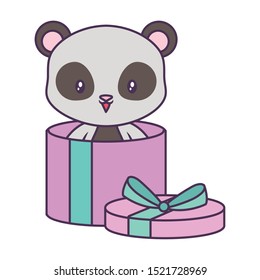 panda bear animal in gift box vector illustration design
