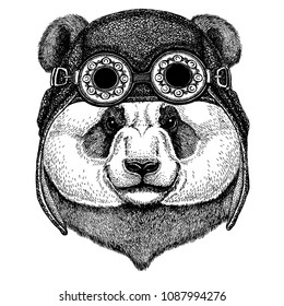 Panda bear. Bamboo bear. Cute animal wearing motorcycle, aviator helmet Hand drawn image for tattoo, emblem, badge, logo, patch, t-shirt