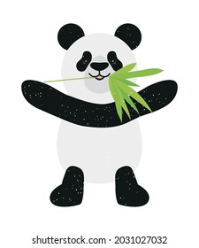 panda bear with bamboo leaf