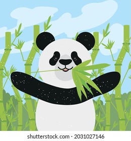 panda bear with bamboo plant