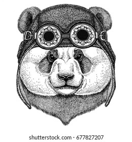 Panda bear, bamboo bear wearing aviator hat Motorcycle hat with glasses for biker Illustration for motorcycle or aviator t-shirt with wild animal