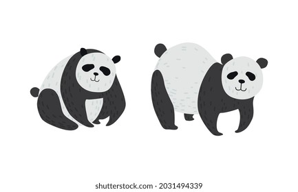 Panda Bear with Black-and-white Coat and Rotund Body Vector Set