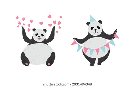 Panda Bear with Black-and-white Coat and Rotund Body Holding Garland and Sitting with Raised Paws Vector Set