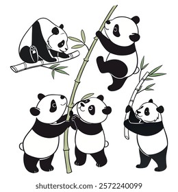 Panda. Bear cute funny animal character in forest cartoon collection