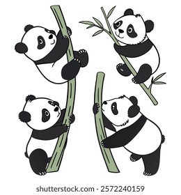 Panda. Bear cute funny animal character in forest cartoon collection