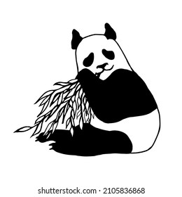 Panda bear eats bamboo leaves.Vector illustration, black and white hand drawing.