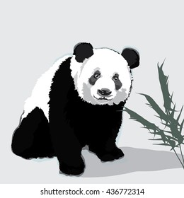 Panda bear figure.Vector illustration.