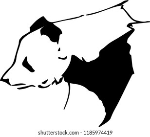 panda bear graphic black and white 2