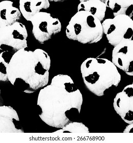 panda, panda bear, panda group. black and white panda background.