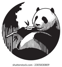 Oso panda, ilustración dibujada a mano