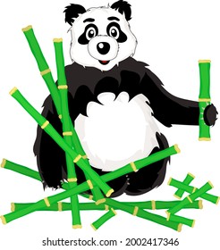 the panda bear has collected his favorite treats of bamboo branches and will eat them, a series of funny pandas isolated on a white background