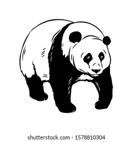 Panda bear icon. Zoo animal badge design. Black vector illustration.