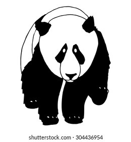 Panda bear illustration. Good for T-shirt, bag or whatever print. Vector illustration