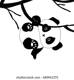 Panda bear illustration. Panda hanging from the tree