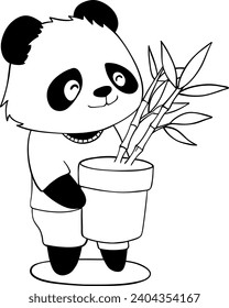 oso panda gusta plantar bambú