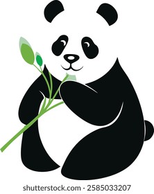 A panda bear munching, adorable panda munching on green bamboo