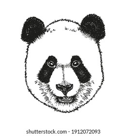 Engrave Ink Draw Panda Illustration Stock Illustration 388805962