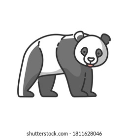 Panda bear RGB color icon. Native chinese fauna, common asian wildlife. Zoo mascot, oriental forest inhabitant. Black and white bear isolated vector illustration