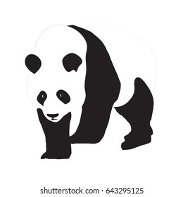 Panda bear the symbol of China