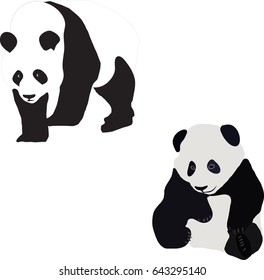 Panda bear the symbol of China