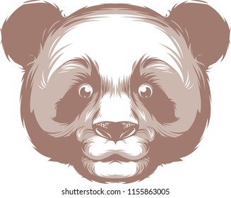 panda bear vector 
