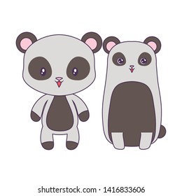 panda bears animals isolated icon