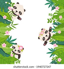 Borde de Panda con banner en blanco. Ilustración vectorial con animales salvajes con lugar para el texto.