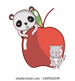 Panda and cat with food
