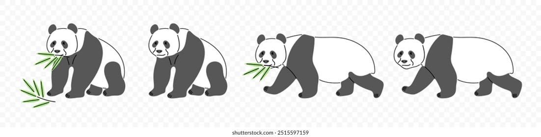 Panda, panda chinês mascando bambu, design gráfico. Urso panda, animal, vida selvagem e zoológico, design vetorial e ilustração