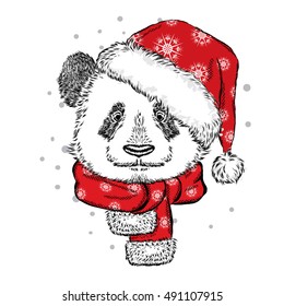 Panda Christmas hat and scarf. Vector illustration for greeting card, poster, or print on clothes. Christmas and New Year. Winter.