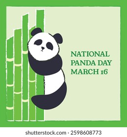 Panda Climbing on Bamboo. Sleepy Panda Hanging on Bamboo. National Panda Day March 16.