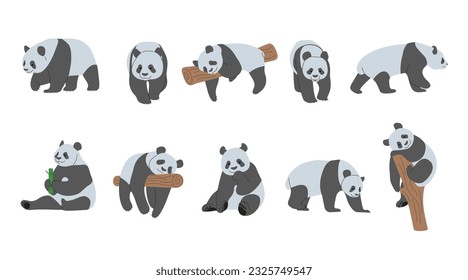 Panda Collection 1 cute on a white background, vector illustration