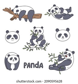 Panda. Colourful vector illustration set.