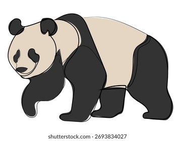 Panda in continuous line drawing style