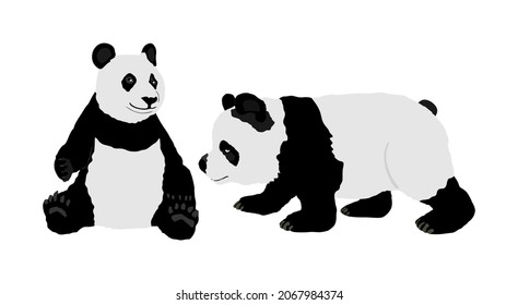 Panda-Paar, Vektorgrafik einzeln auf weißem Hintergrund. Panda Bär Familie verliebt. Bambus speist aus China. Kuschelmaskot. Zooattraktion.