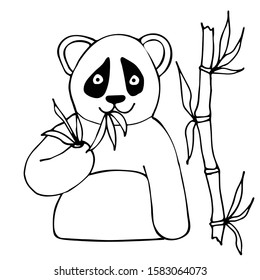 A panda cub holds in its paws a branch of eucalyptus with leaves. White isolated background. Drawn by hand. Suitable for design for poster, postcard, coloring, fabric, print. Stock vector illustration