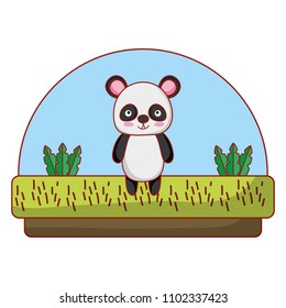 panda cute animal in the countryside and plants