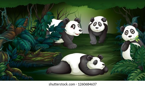 Panda en ilustración de bosque oscuro
