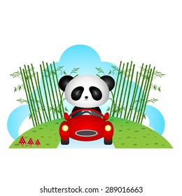 Panda driving a car