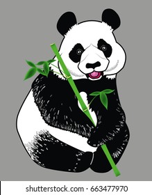 Panda eating bamboo